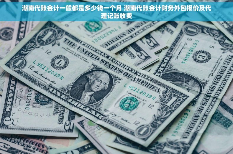 湖南代账会计一般都是多少钱一个月 湖南代账会计财务外包报价及代理记账收费