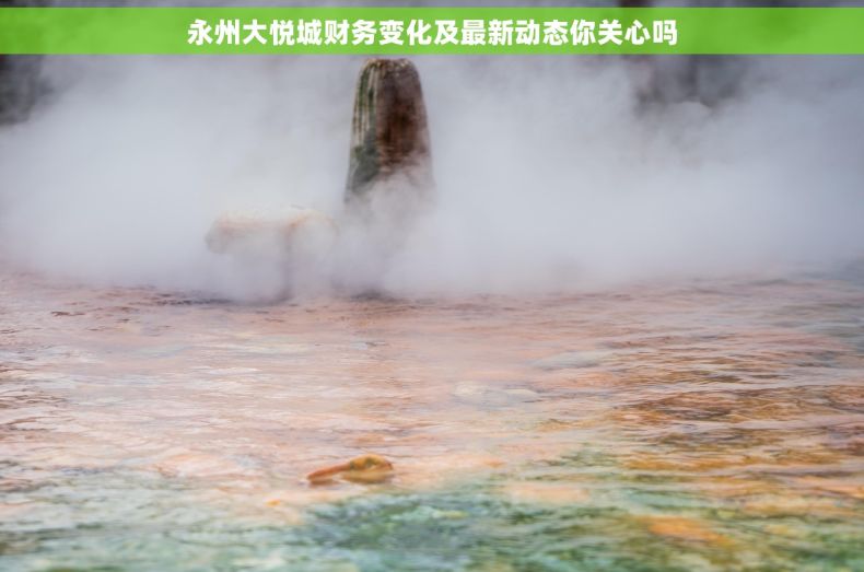 永州大悦城财务变化及最新动态你关心吗