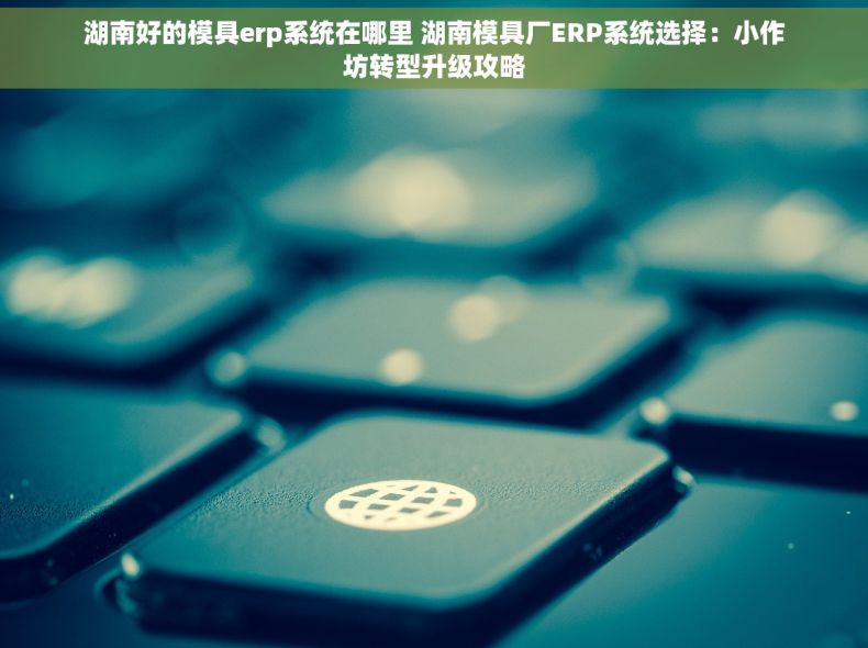 湖南好的模具erp系统在哪里 湖南模具厂ERP系统选择：小作坊转型升级攻略