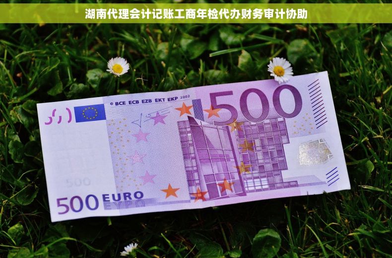 湖南代理会计记账工商年检代办财务审计协助