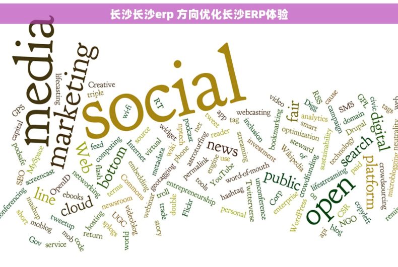 长沙长沙erp 方向优化长沙ERP体验