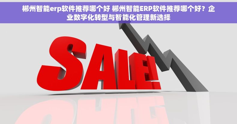 郴州智能erp软件推荐哪个好 郴州智能ERP软件推荐哪个好？企业数字化转型与智能化管理新选择