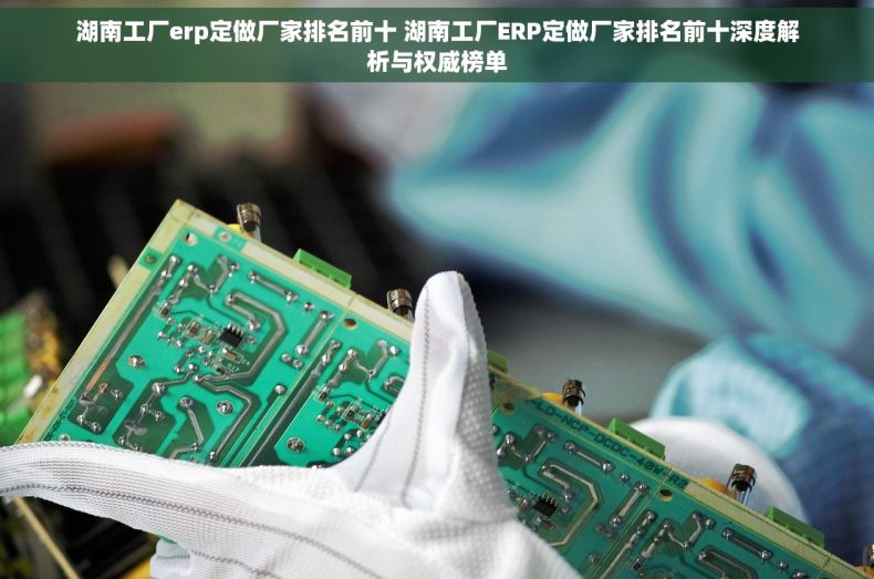 湖南工厂erp定做厂家排名前十 湖南工厂ERP定做厂家排名前十深度解析与权威榜单