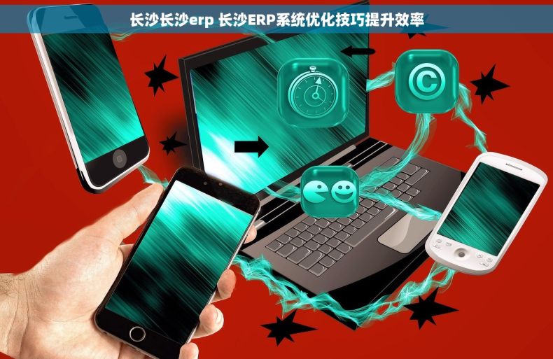 长沙长沙erp 长沙ERP系统优化技巧提升效率