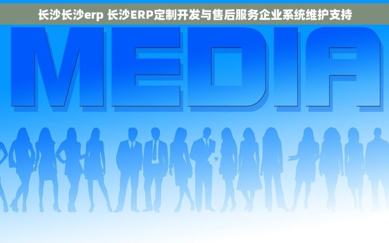 长沙长沙erp 长沙ERP定制开发与售后服务企业系统维护支持