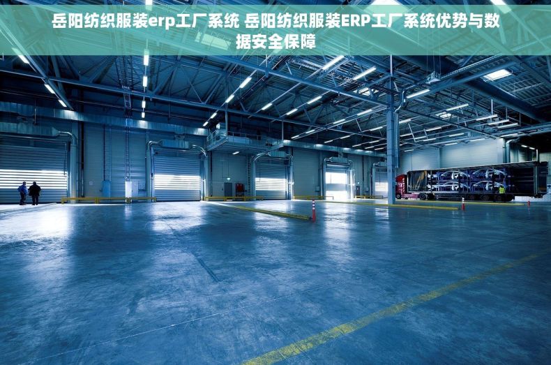 岳阳纺织服装erp工厂系统 岳阳纺织服装ERP工厂系统优势与数据安全保障