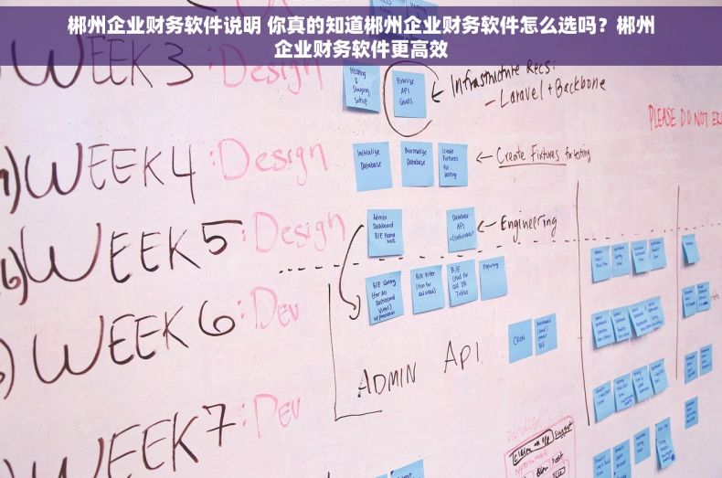 郴州企业财务软件说明 你真的知道郴州企业财务软件怎么选吗？郴州企业财务软件更高效