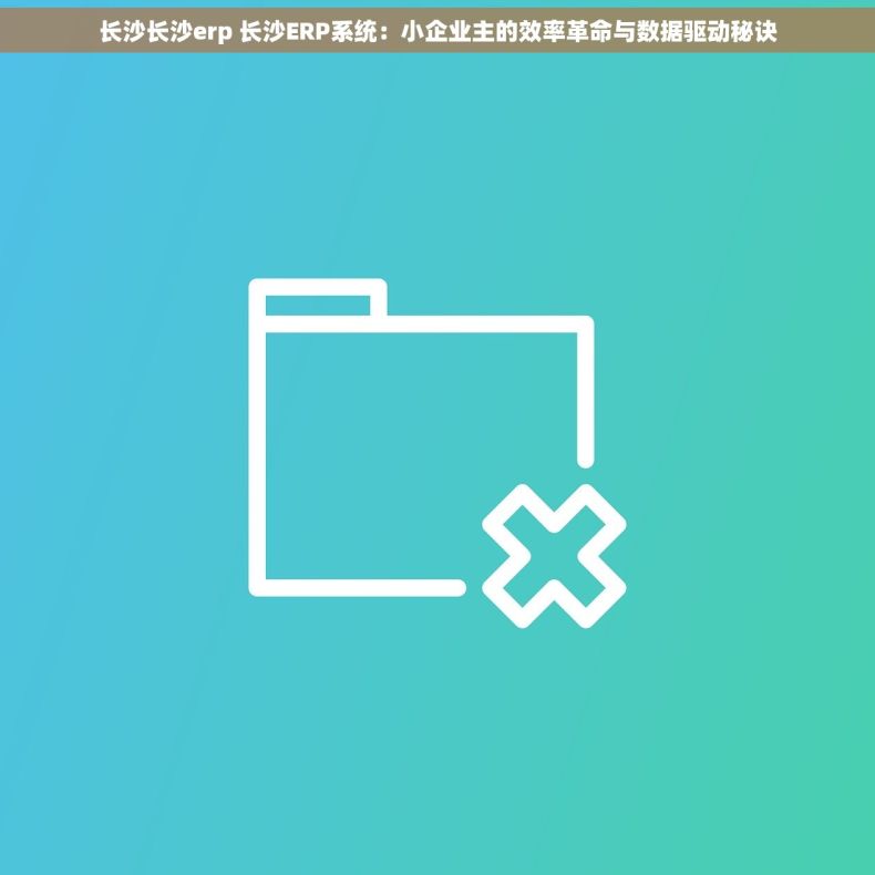 长沙长沙erp 长沙ERP系统：小企业主的效率革命与数据驱动秘诀