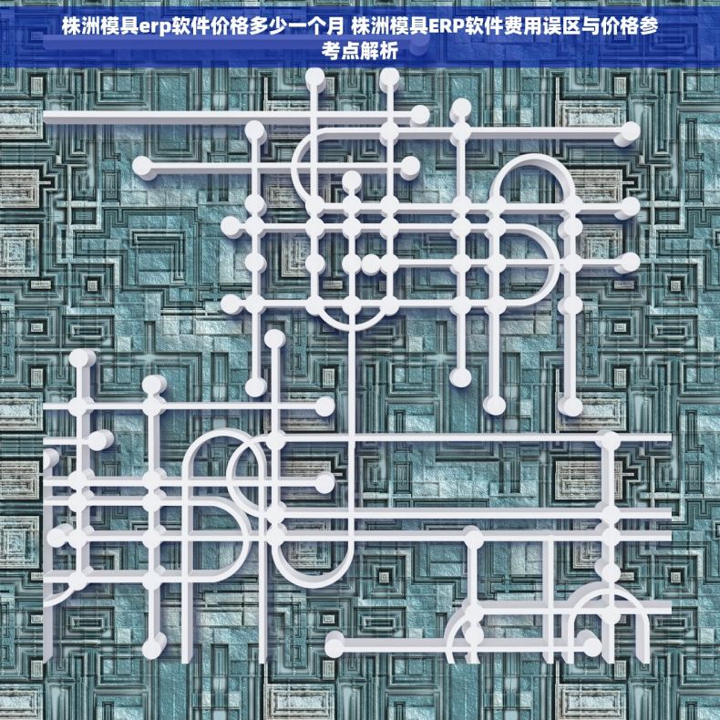 株洲模具erp软件价格多少一个月 株洲模具ERP软件费用误区与价格参考点解析