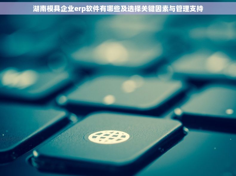湖南模具企业erp软件有哪些及选择关键因素与管理支持