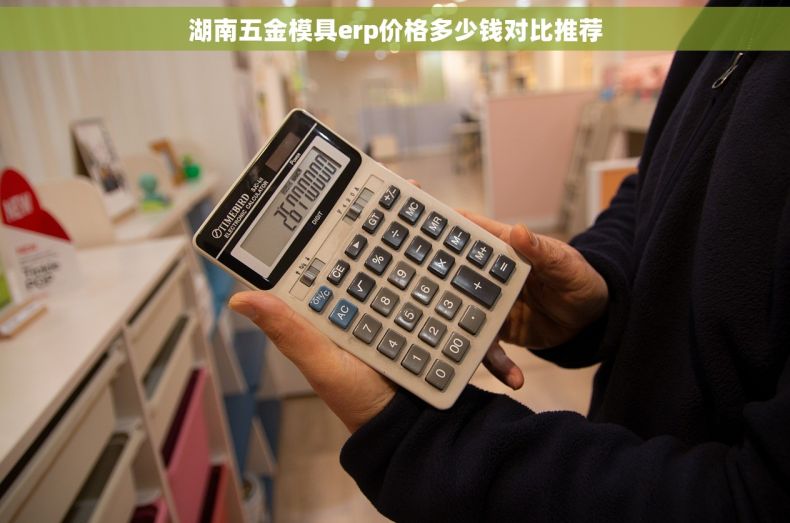湖南五金模具erp价格多少钱对比推荐