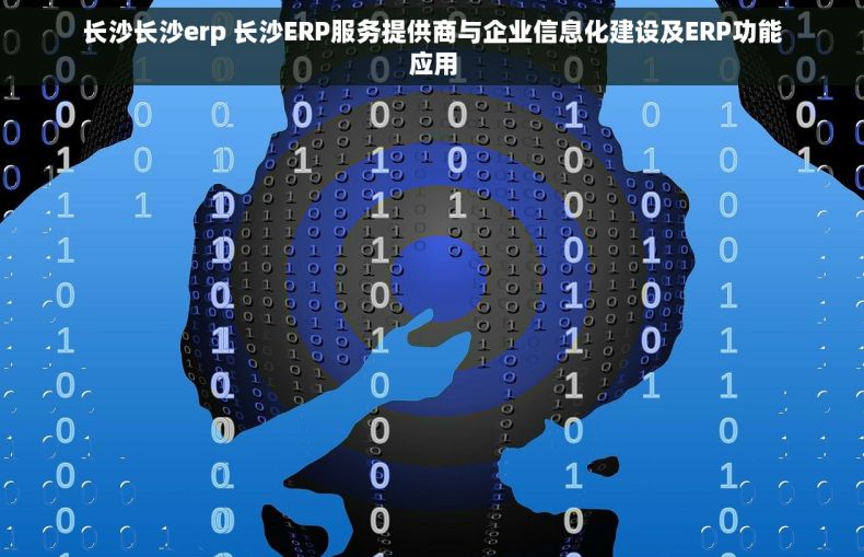 长沙长沙erp 长沙ERP服务提供商与企业信息化建设及ERP功能应用
