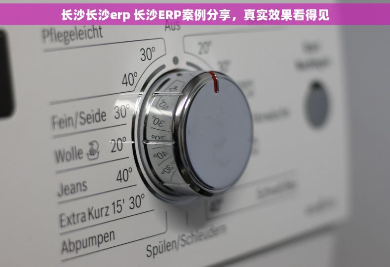 长沙长沙erp 长沙ERP案例分享，真实效果看得见