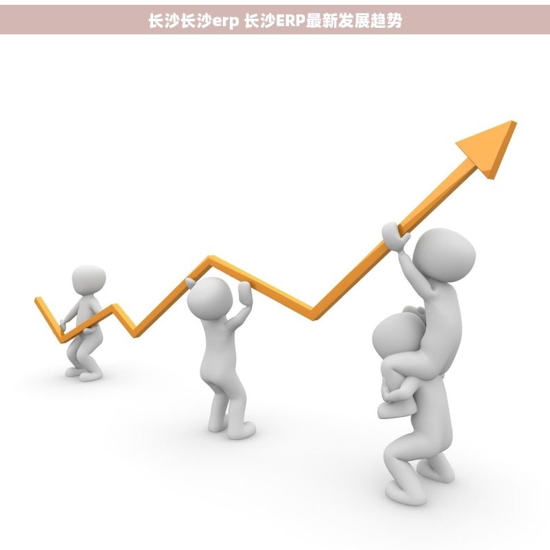 长沙长沙erp 长沙ERP最新发展趋势