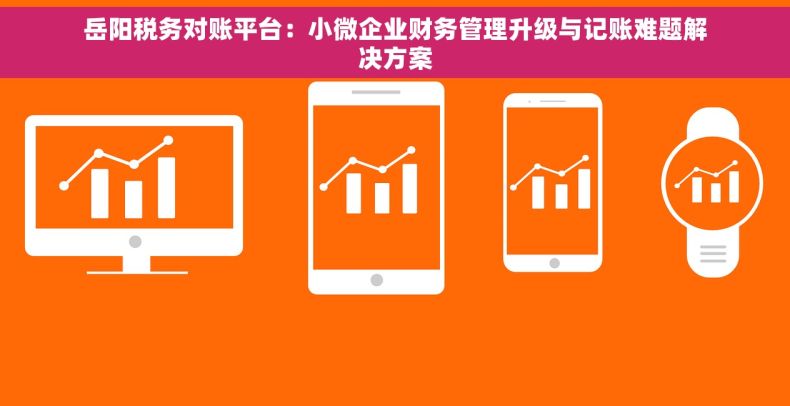 岳阳税务对账平台：小微企业财务管理升级与记账难题解决方案