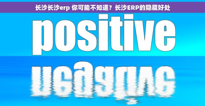 长沙长沙erp 你可能不知道？长沙ERP的隐藏好处