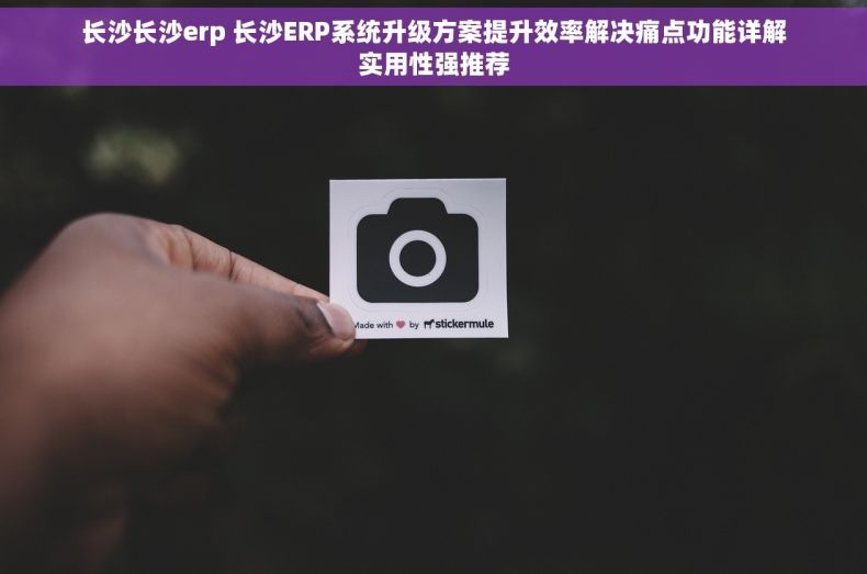 长沙长沙erp 长沙ERP系统升级方案提升效率解决痛点功能详解实用性强推荐