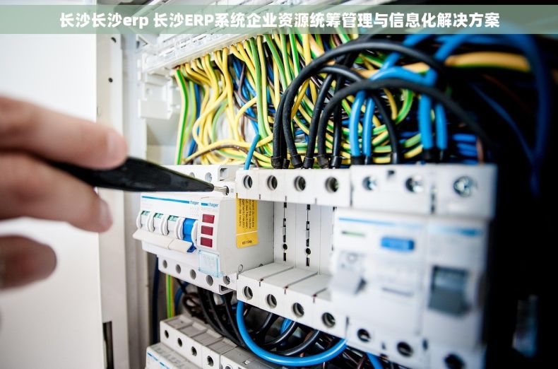 长沙长沙erp 长沙ERP系统企业资源统筹管理与信息化解决方案