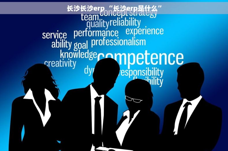 长沙长沙erp “长沙erp是什么”