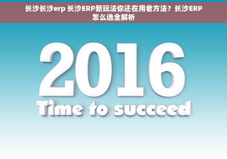 长沙长沙erp 长沙ERP新玩法你还在用老方法？长沙ERP怎么选全解析
