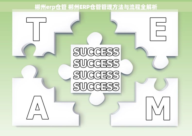 郴州erp仓管 郴州ERP仓管管理方法与流程全解析