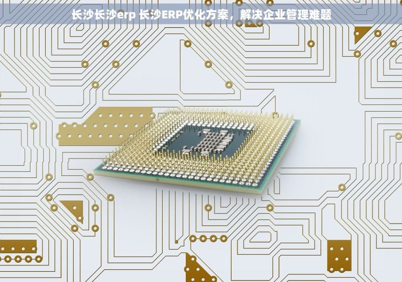 长沙长沙erp 长沙ERP优化方案，解决企业管理难题