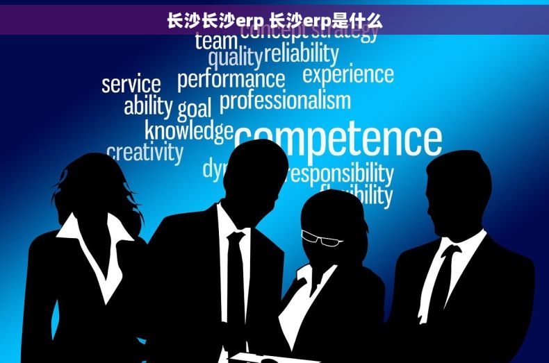 长沙长沙erp 长沙erp是什么
