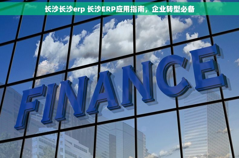 长沙长沙erp 长沙ERP应用指南，企业转型必备