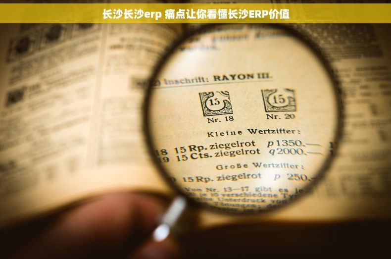 长沙长沙erp 痛点让你看懂长沙ERP价值