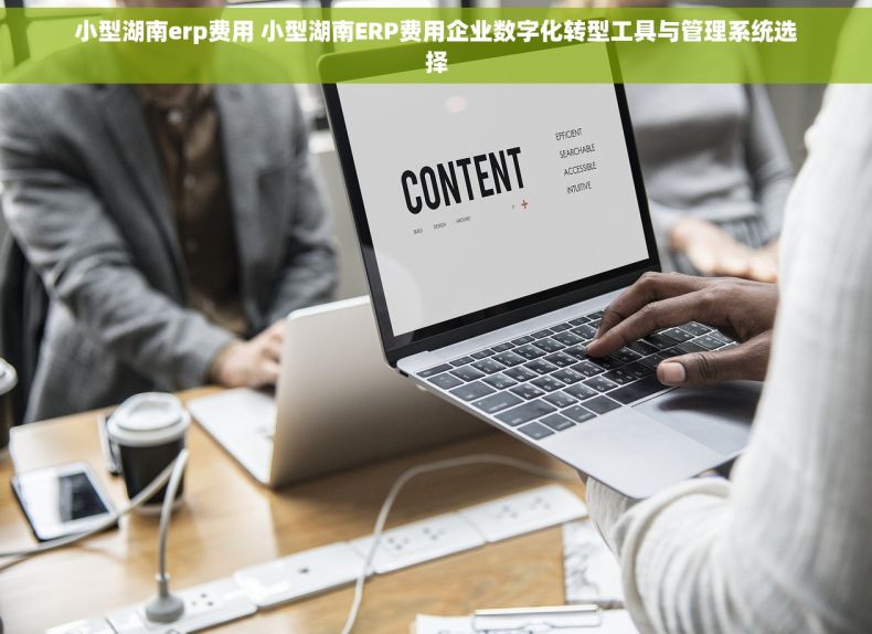 小型湖南erp费用 小型湖南ERP费用企业数字化转型工具与管理系统选择