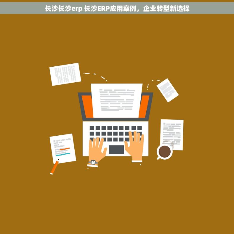 长沙长沙erp 长沙ERP应用案例，企业转型新选择