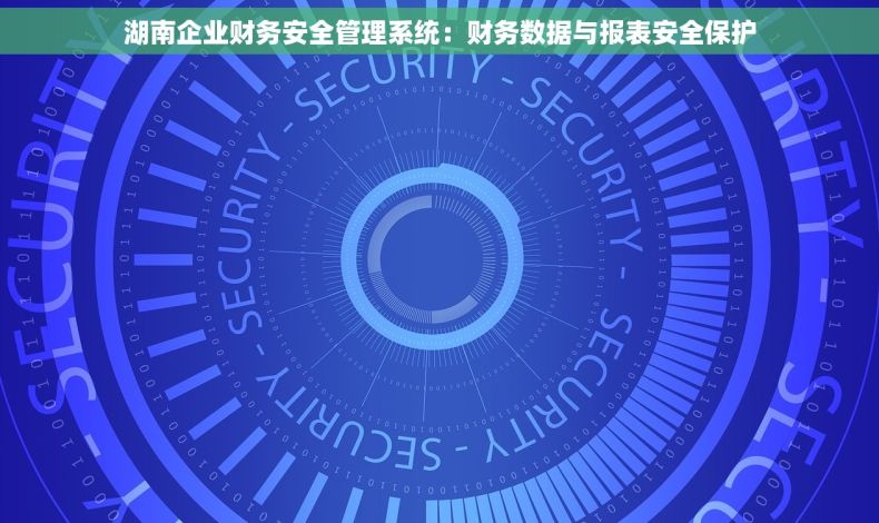 湖南企业财务安全管理系统：财务数据与报表安全保护