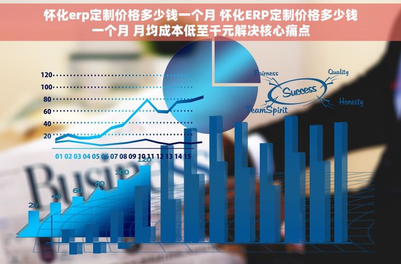 怀化erp定制价格多少钱一个月 怀化ERP定制价格多少钱一个月 月均成本低至千元解决核心痛点