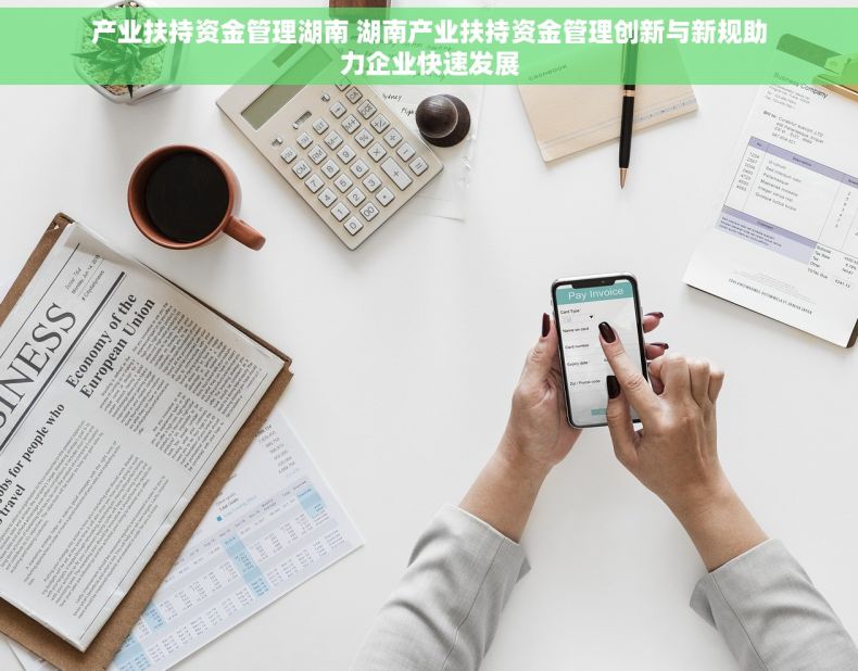 产业扶持资金管理湖南 湖南产业扶持资金管理创新与新规助力企业快速发展