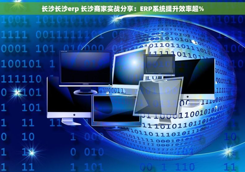 长沙长沙erp 长沙商家实战分享：ERP系统提升效率超%