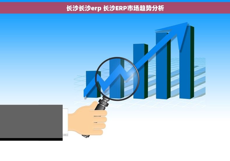 长沙长沙erp 长沙ERP市场趋势分析