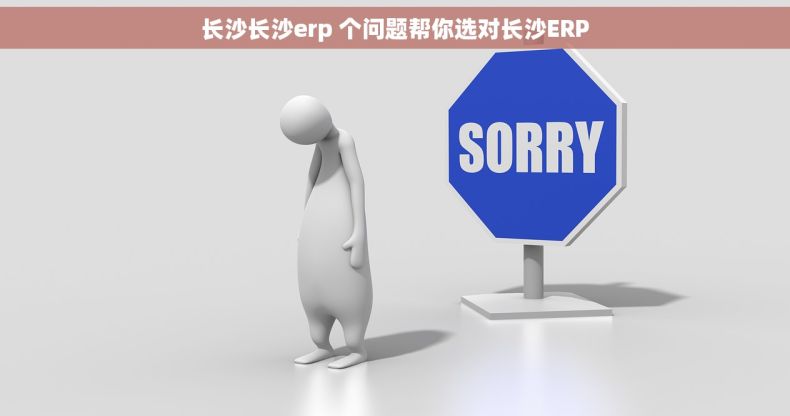 长沙长沙erp 个问题帮你选对长沙ERP