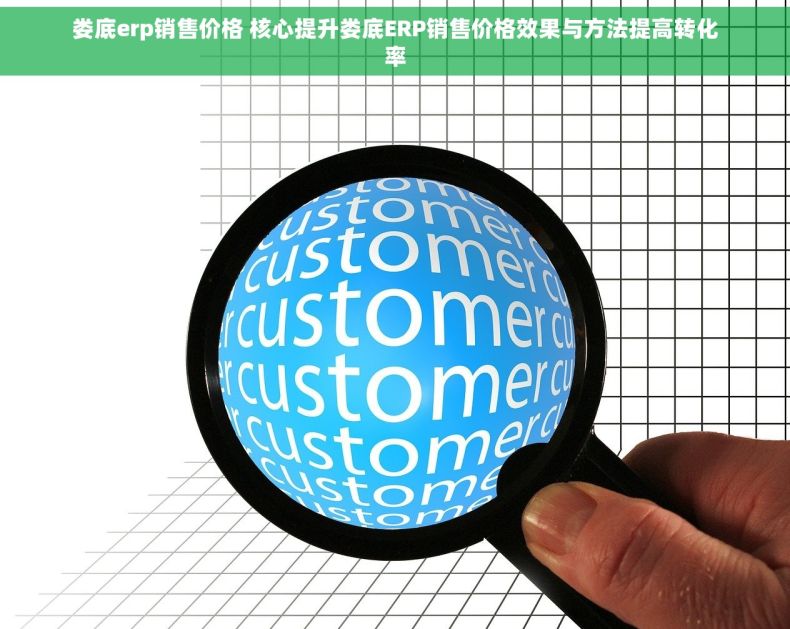娄底erp销售价格 核心提升娄底ERP销售价格效果与方法提高转化率