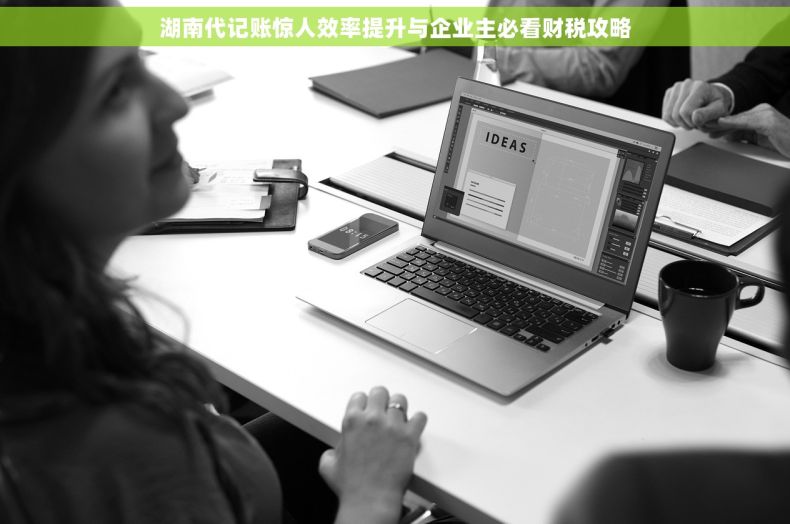 湖南代记账惊人效率提升与企业主必看财税攻略
