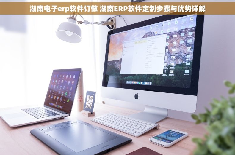湖南电子erp软件订做 湖南ERP软件定制步骤与优势详解