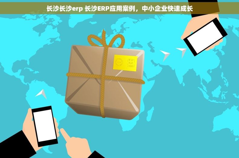 长沙长沙erp 长沙ERP应用案例，中小企业快速成长
