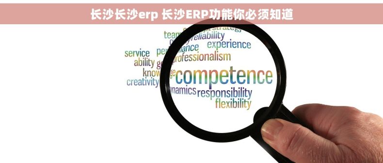 长沙长沙erp 长沙ERP功能你必须知道