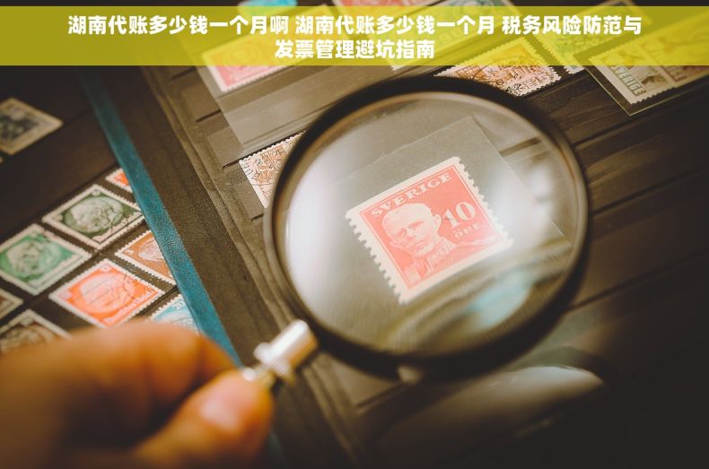 湖南代账多少钱一个月啊 湖南代账多少钱一个月 税务风险防范与发票管理避坑指南