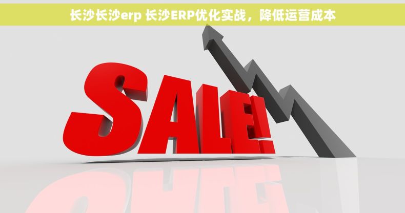 长沙长沙erp 长沙ERP优化实战，降低运营成本