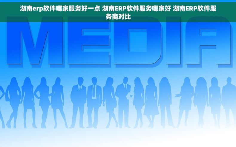 湖南erp软件哪家服务好一点 湖南ERP软件服务哪家好 湖南ERP软件服务商对比