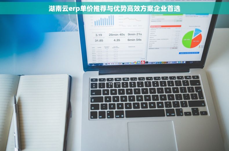 湖南云erp单价推荐与优势高效方案企业首选