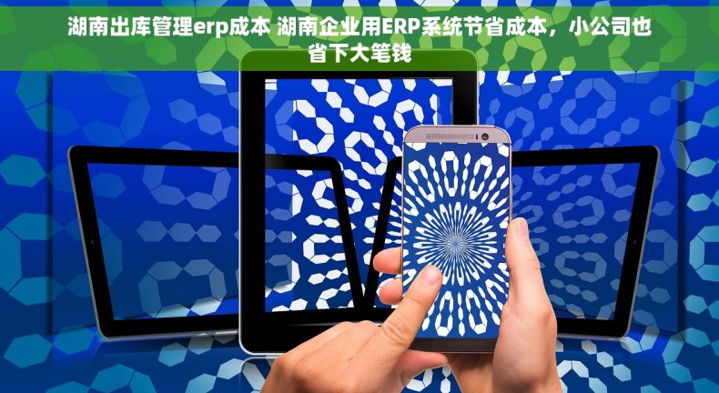 湖南出库管理erp成本 湖南企业用ERP系统节省成本，小公司也省下大笔钱