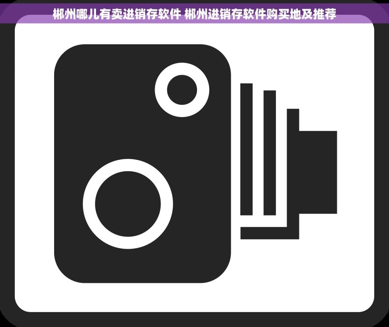 郴州哪儿有卖进销存软件 郴州进销存软件购买地及推荐