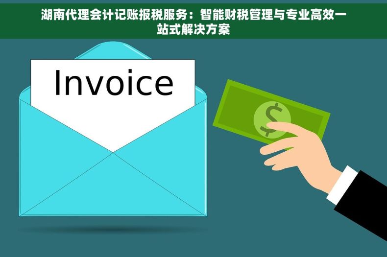 湖南代理会计记账报税服务：智能财税管理与专业高效一站式解决方案