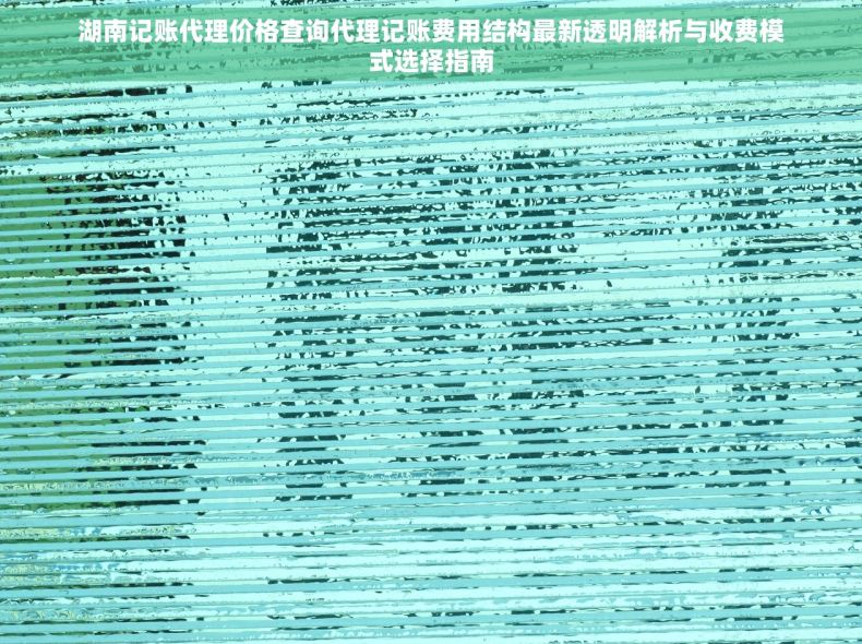 湖南记账代理价格查询代理记账费用结构最新透明解析与收费模式选择指南